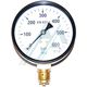 Manometer ø 100 dry 0-600 kg vertical outlet