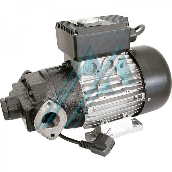 Pompa autoadescante e autoadescante 1 kW VAC 50/60 Hz - Hidraflex