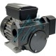 Self-priming and self-priming pump 0.25 kW 230 VAC 50/60 Hz IRON 50