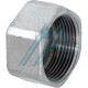Galvanized plug 1/2 "female 1/2" Figure 300