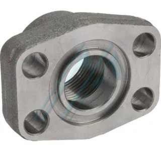 Bride de bloc SAE avec filetage femelle 2" BSP 3000 PSI