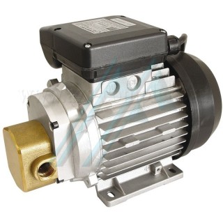 Pompe de transfert pour lubrifiants 0,74 kw