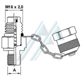 Encaixe de entrada de press&atilde;o hidr&aacute;ulica Minimex rosca macho 1/4" BSP