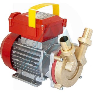 Portable self-priming transfer pump BEM 20 0.5 CV II 220 V