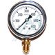 Pressure gauge ø 63 dry 0-600 kg vertical outlet