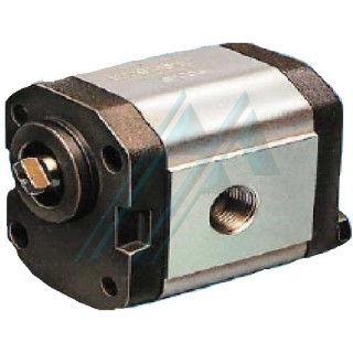 Gear pump 1L35DB24R