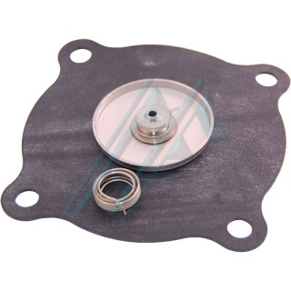 Membrana repuesto para electrov. 2w-250-25