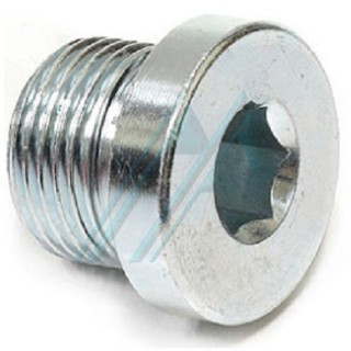 Tapón macho métrico tipo ALLEN rosca macho M-27X150