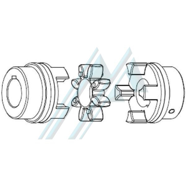 Rotex 48 coupling