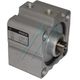 Pneumatic cylinder