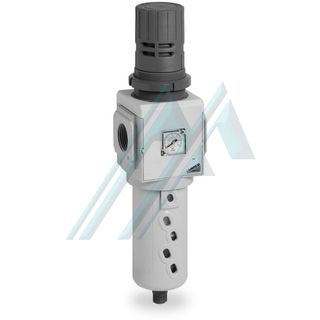 MX pressure regulator filter