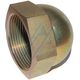BSPP female threaded plug