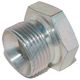 Allen screw cap BSPP