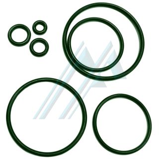 O-ring VITON de espessura / Touro 1 mm