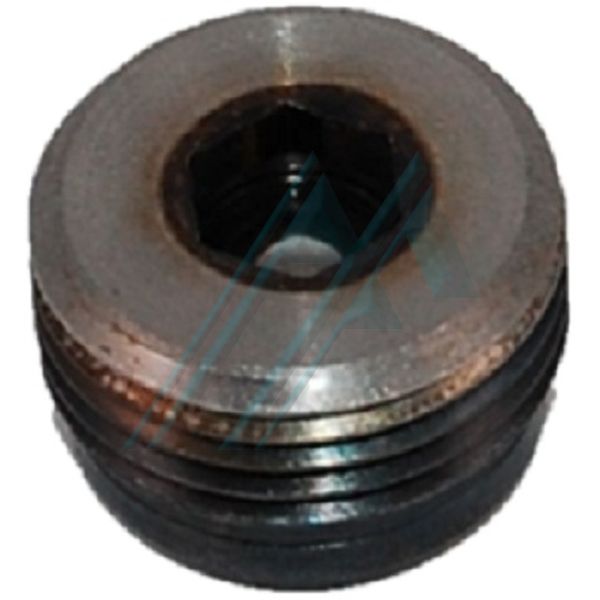 RB Hawe insert check valve