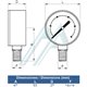 Pressure gauge Ø 53 of 0-2.5 Kg vertical thread 1/4 "