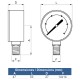 Manómetro Ø 53 de 0-10 Kg rosca vertical 1/4"