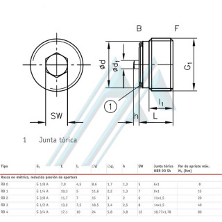 RB Hawe insert check valve