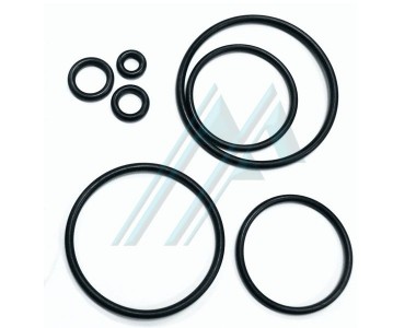 O-ring