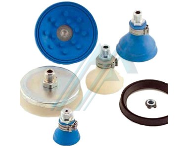 吸杯三唇温哥华警察局