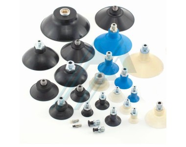 Банки Кубок